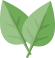 深圳市福田区外国语教育集团,深圳教育研修院最美人间四月天,不负春光与时行,深圳教育研修院
